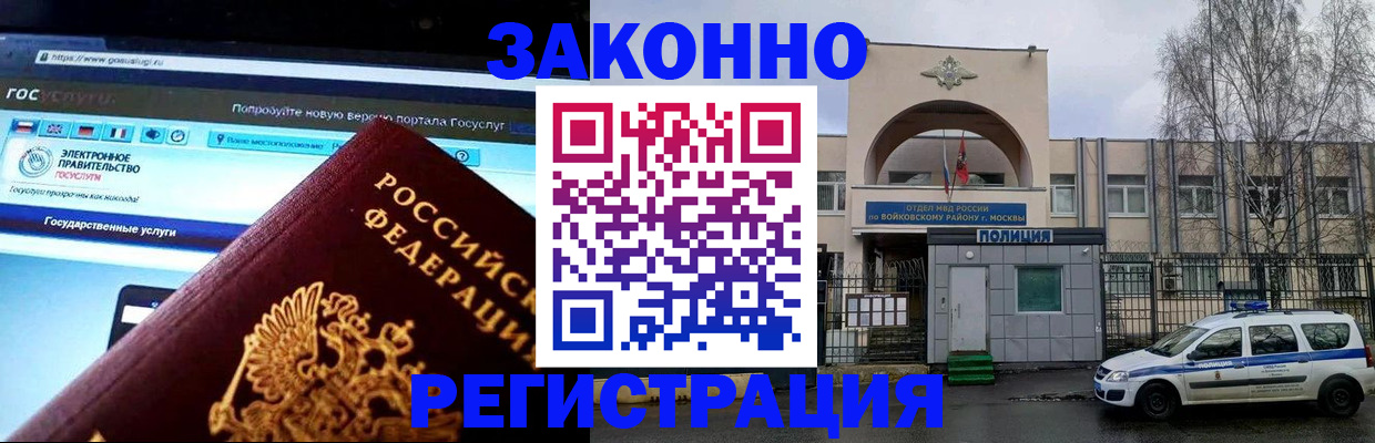 временная регистрация поиск в Светогорске